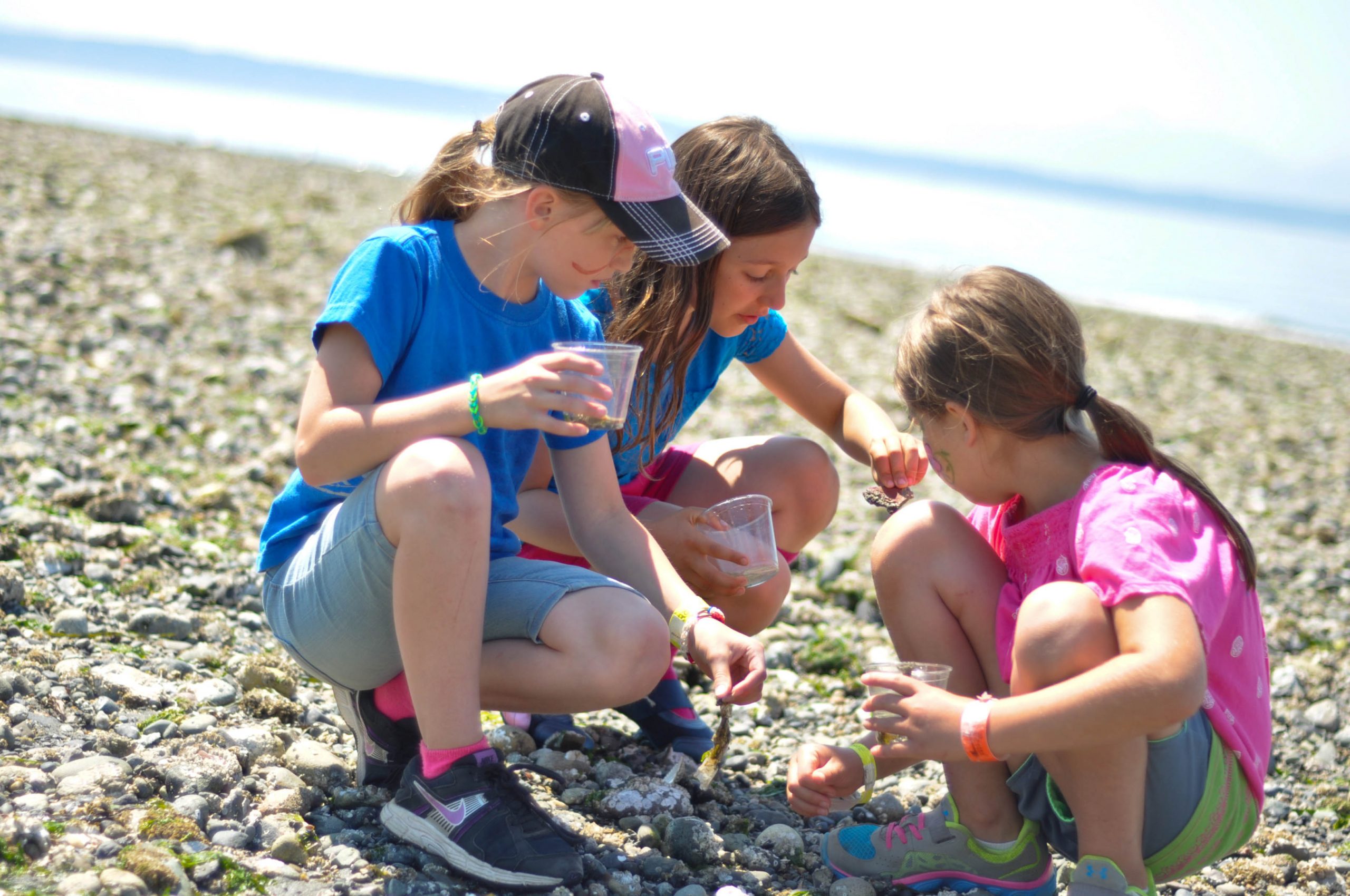 Exploring the beach at Carkeek Park Day Camp