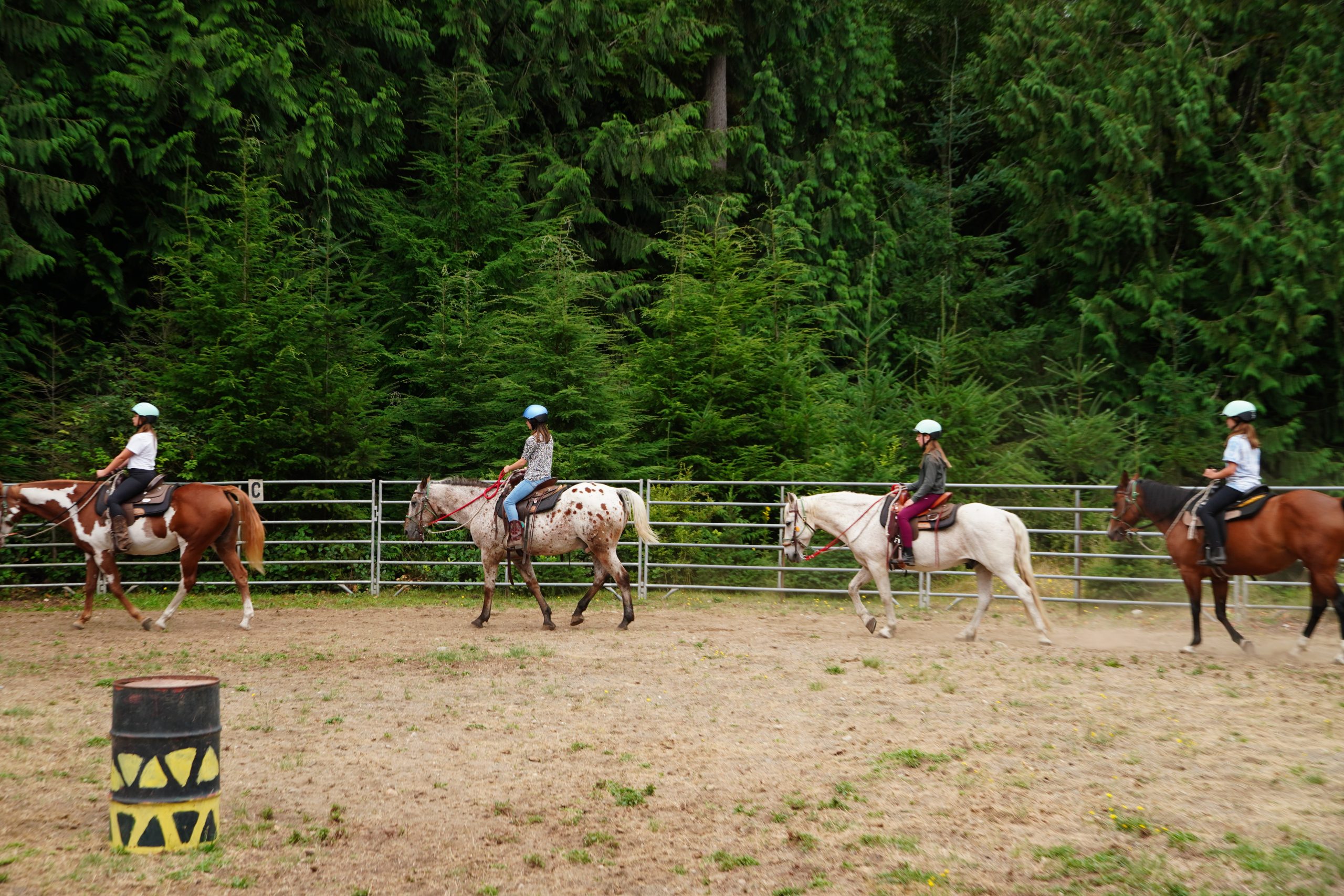 4 campers on horses line up behind each other in the big arena during a lesson