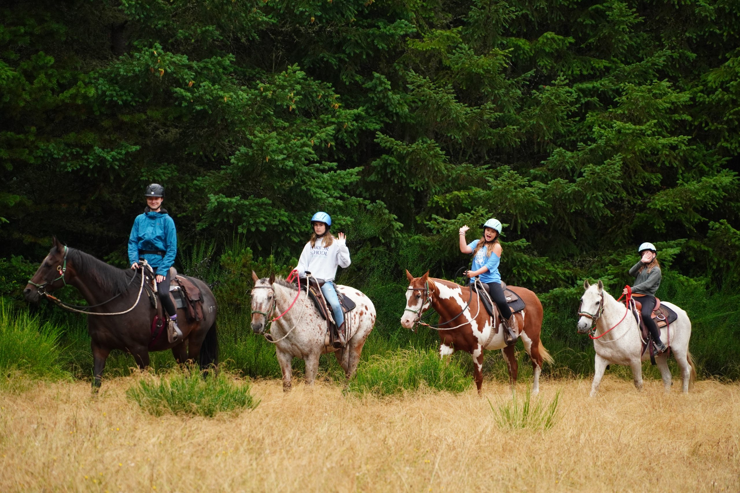 4 horses in a field in a line being ridden by campers and staff