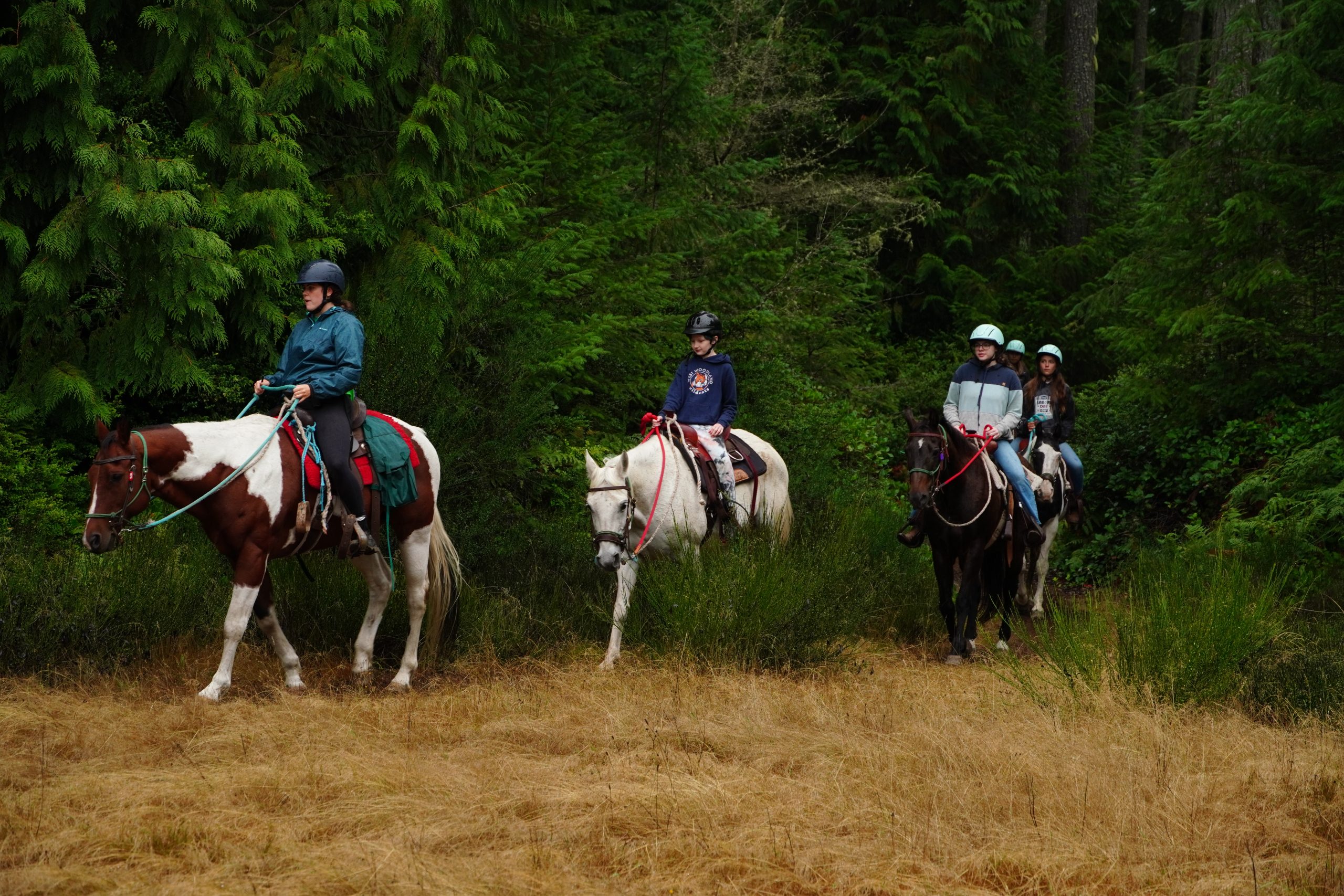a line of campers on horses riding behind each other in a field