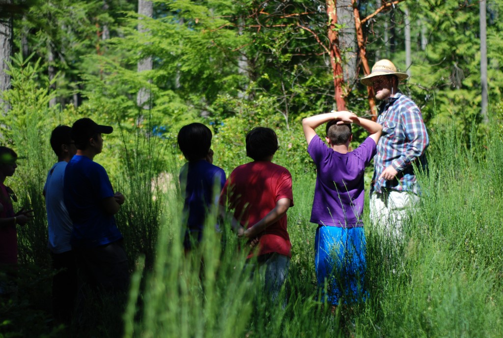 Staff teaching nature lesson
