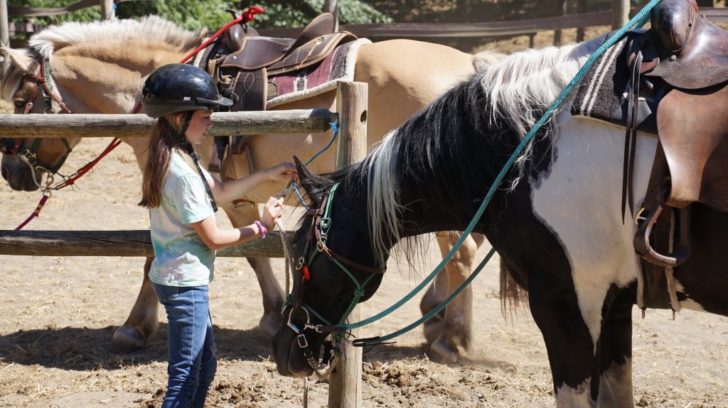a girl wearing a riding helmet with a black and white horse