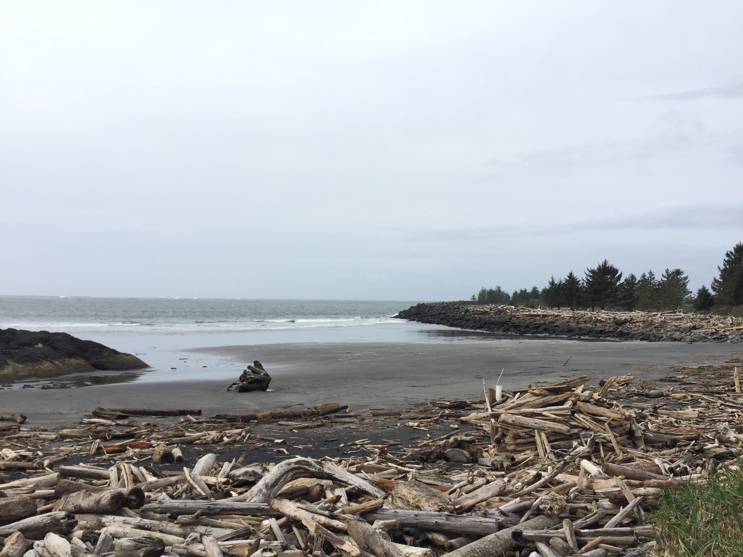 Cape Disappointment State Park