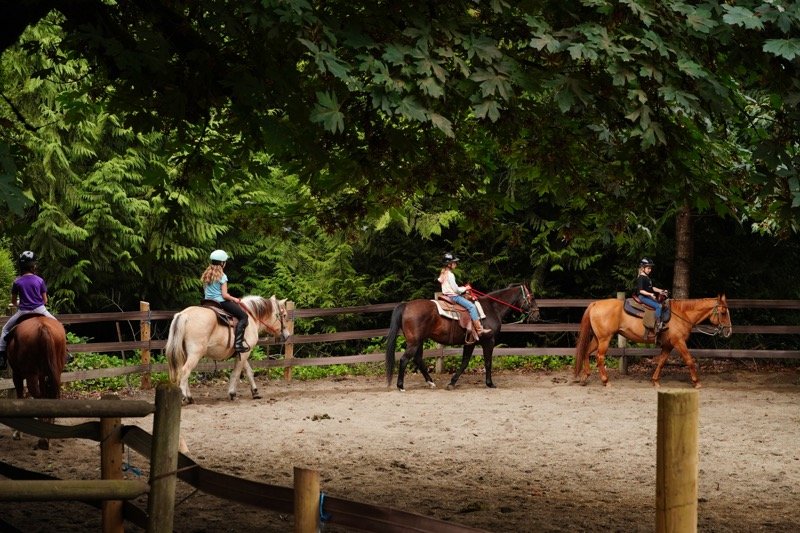 campers on horses in a line learning in the horse arena