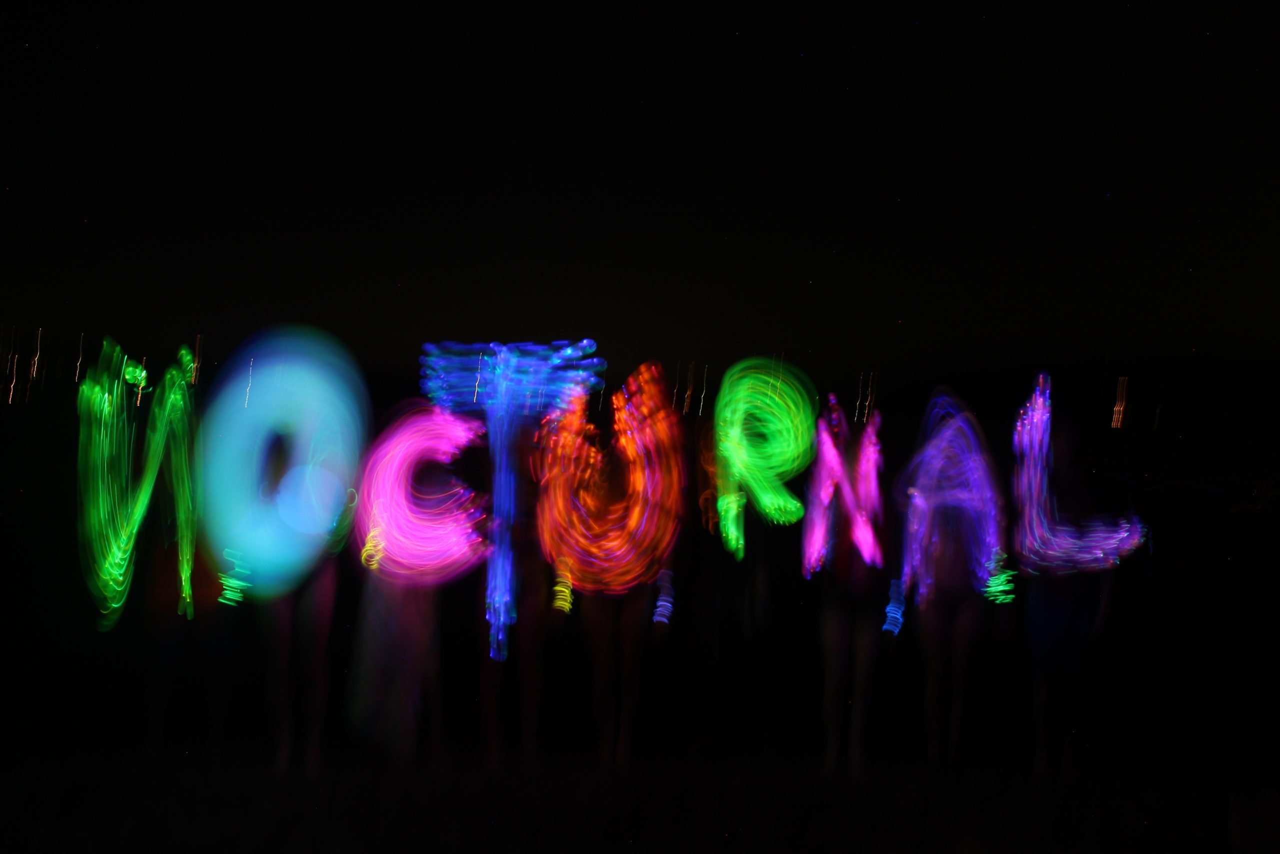 Night photography with glowing light shapes that spell Nocturnal