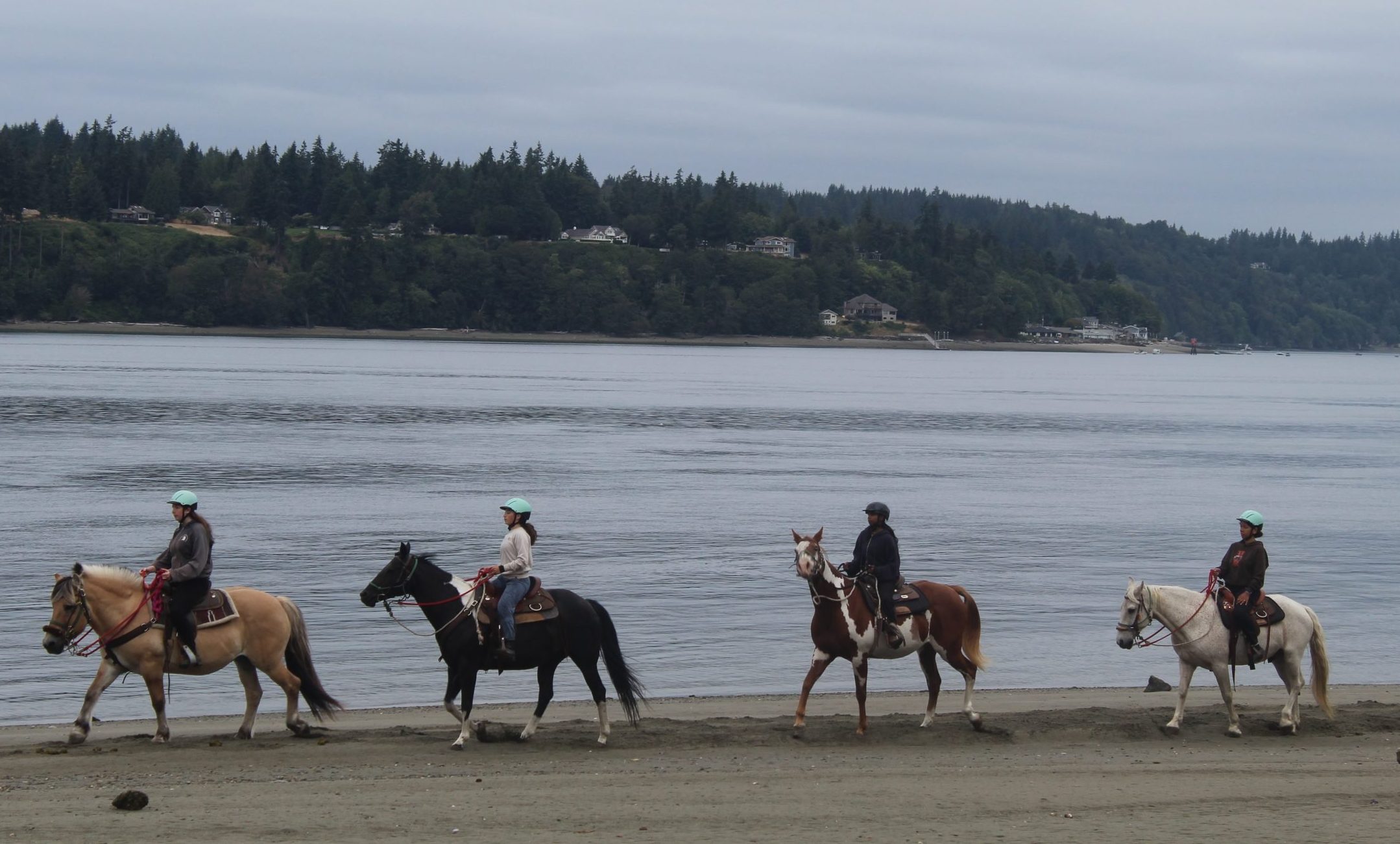 a scenic horse beach ride along the shore of camp sealth