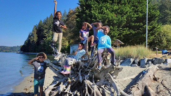 Children climbing on a large driftwood stump on a beach with blue water to the left and green trees behind