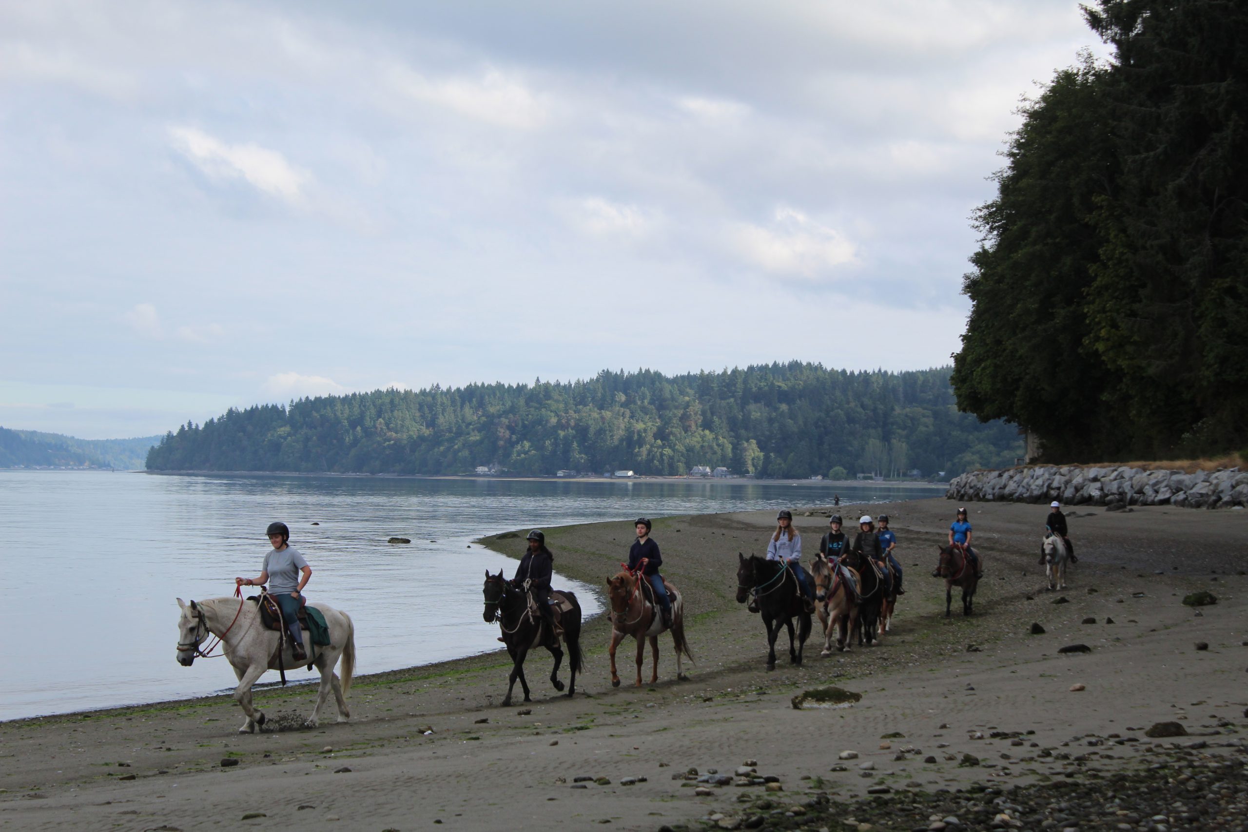 A line of horses with riders are on the beach of Camp Sealth